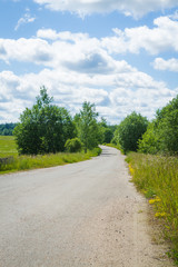 Fototapeta na wymiar Country asphalt road in the summer
