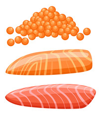 Piece of fresh red salmon fish. Caviar and fillets. Vector illustration isolated on white background.
