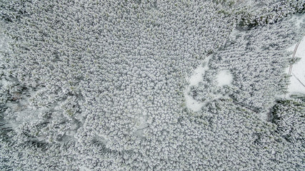 frozen winter forest. Aerial view snowy landscape. shooting from a drone 