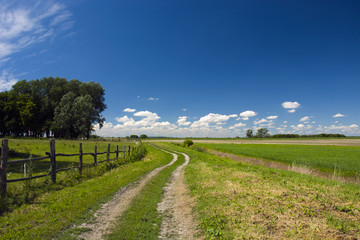 A dirt road, fence and trees