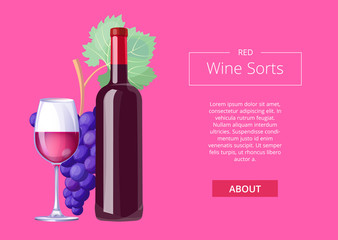 Red Wine Sorts Web Page on Vector Illustration