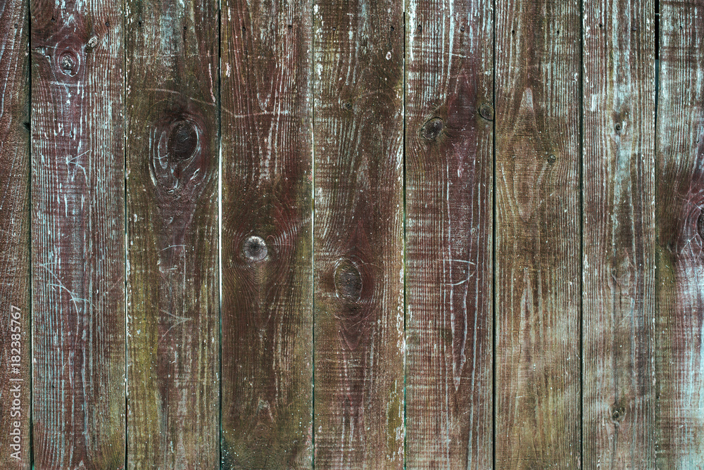 Wall mural wooden background. a fence autumn day in nature. old wood planks.