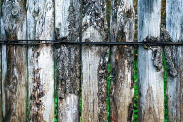 Burnt boards. Wooden background. A fence on an autumn day in nature. Old wood planks. With green leaves on the background.