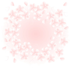 sakura pink spring wreath
