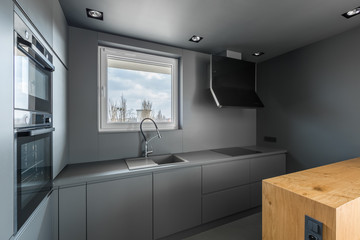 Monochromatic contemporary kitchen