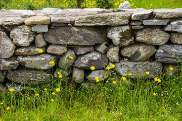 Old Stone Wall in Ireland