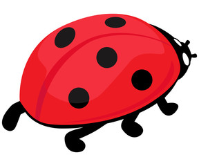 vector illustration of cute realistic ladybug