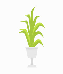Green Plant in White Pot on Vector Illustration