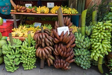 Colorful bananas species on street stall