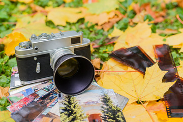 Old camera for the fall foliage and photos