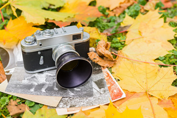 Old camera and old photos on autumn leaves