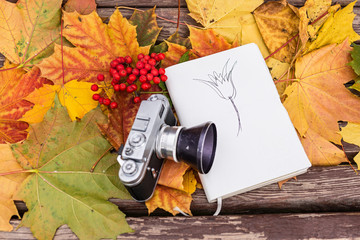 Old camera and notepad with drawing at the autumn leaves