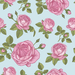 Vector floral seamless pattern with bouquets of pink roses in vintage style