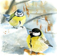 Obraz na płótnie Canvas Watercolor painting blue tit and great tit in winter