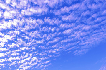 blue sky with white clouds in fall season