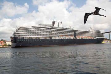 Großes Kreuzfahrtschiff mit Vogel (Fregattvogel) am Himmel