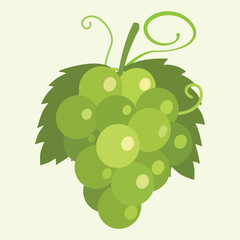 Grape Vector Illustration