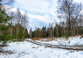 Forest road, covered with a thin layer of snow.