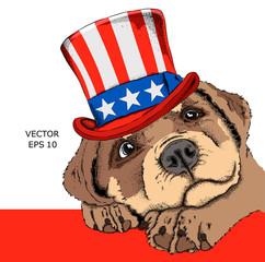 dog  in old American hat with a flag. National Symbols of the USA. Vector illustration