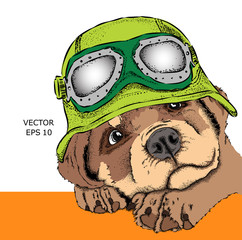 Portrait of a dog with steampunk helmet. Vector illustration. Abstract Background with Watercolor Stains