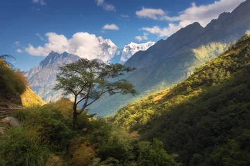 Selbstklebende Fototapete Himalaya Schöner alleinstehender Baum gegen erstaunliche Himalaya-Berge mit schneebedeckten Gipfeln, Wald mit grünen Bäumen, blauer Himmel mit Wolken in Nepal bei Sonnenuntergang. Landschaft. Gebirgstal. Reisen im Himalaya