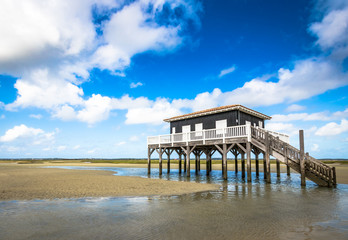 beautiful house in the basin of Arcachon