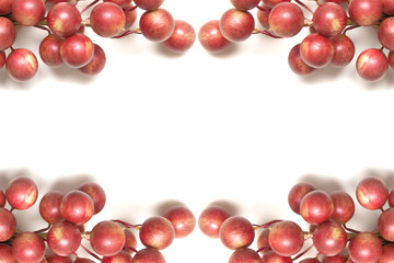 Christmas berries border with white space for text in the center