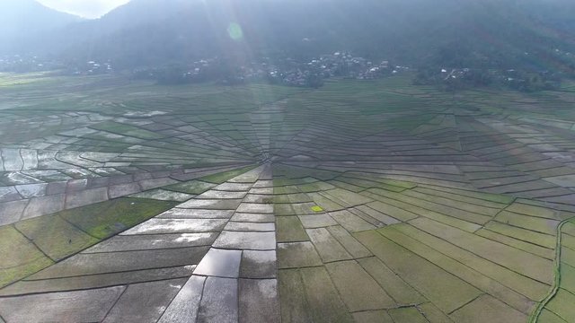Spider web rice field in Ruteng, Flores island, Indonesia. Aerial view footage 4k drone.