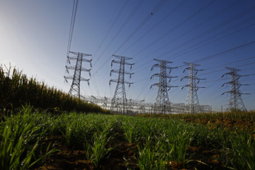 Obraz premium High voltage electric tower line