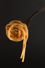 fork with italian spaghetti with tomato sauce