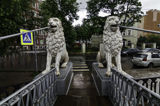 Lions on the bridge in the rain/ Lion Bridge, St. Petersburg, Russia