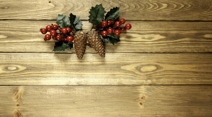 pine cone and mistletoe