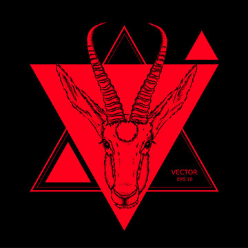 gazelle in a triangle.Can be used for printing on T-shirts, flyers and stuff abstract drawing. vector illustration.