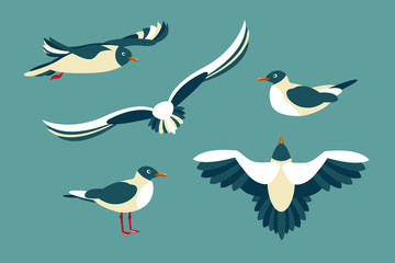 The seagulls. Set of seabirds in the style of flat. Vector illustration.