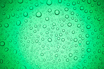 Rain droplets on green glass background, Water drops on glass.