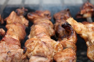 shish kebab on skewers
