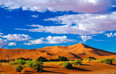 Sand dunes Namib-Naukluft national park, Namibia - obrazy, fototapety, plakaty
