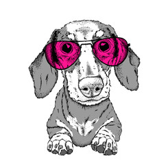 A dog in glasses. Hipster dog. Vector illustration