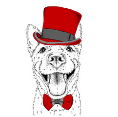 A smiling dog  in old hat. Vector illustration