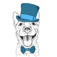 A smiling dog  in old hat. Vector illustration