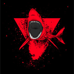 shark in a triangle. abstract drawing. vector illustration.