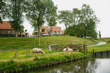 Views of the village and the sheep