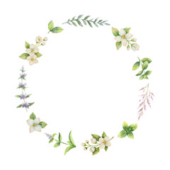 Watercolor vector frame of Jasmine and mint branches isolated on white background.