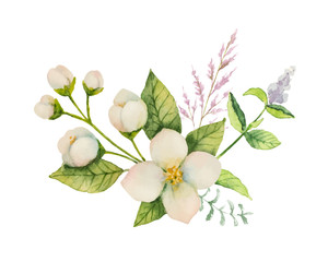 Naklejka premium Watercolor vector bouquet of Jasmine and mint branches isolated on white background.