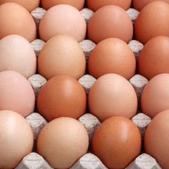 Brown chicken eggs.