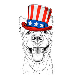 A smiling dog  in old American hat with a flag. National Symbols of the USA. Vector illustration 