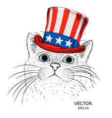 A smiling cat  in old American hat with a flag. National Symbols of the USA. Vector illustration 
