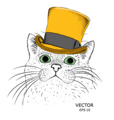 A cat in old hat. Background for advertising or inscriptions.Vector illustration.