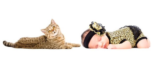 Portrait of cute newborn sleeping girl and cat Scottish Straight, isolated on white background