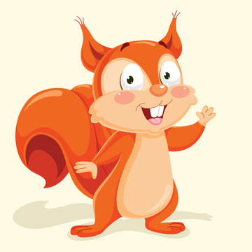 Squirrel Vector Illustration